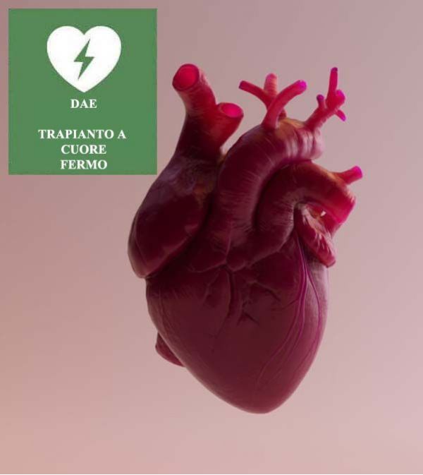 Trapianto a Cuore Fermo: Un Approccio Rivoluzionario per Salvare Vite Umane